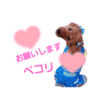 トイプのマロン（個別スタンプ：17）