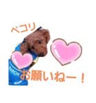 トイプのマロン（個別スタンプ：18）