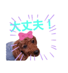 トイプのマロン（個別スタンプ：26）