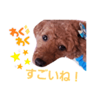 トイプのマロン（個別スタンプ：32）