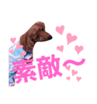 トイプのマロン（個別スタンプ：33）