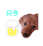 トイプのマロン（個別スタンプ：37）