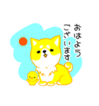 毎日。かわいい。しば犬ぽこ。ぴよぽこ。（個別スタンプ：1）