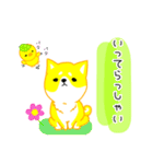 毎日。かわいい。しば犬ぽこ。ぴよぽこ。（個別スタンプ：5）