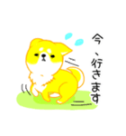 毎日。かわいい。しば犬ぽこ。ぴよぽこ。（個別スタンプ：25）