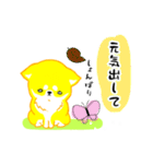 毎日。かわいい。しば犬ぽこ。ぴよぽこ。（個別スタンプ：31）