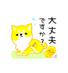 毎日。かわいい。しば犬ぽこ。ぴよぽこ。（個別スタンプ：32）