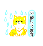 毎日。かわいい。しば犬ぽこ。ぴよぽこ。（個別スタンプ：33）