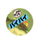 生き物達×クサガメのシラ！（個別スタンプ：21）