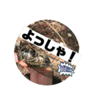 生き物達×クサガメのシラ！（個別スタンプ：23）
