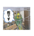 ぴの助の日常（個別スタンプ：5）