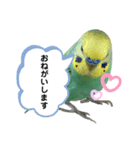ぴの助の日常（個別スタンプ：7）