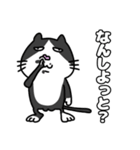 方言猫(大牟田市)（個別スタンプ：1）