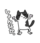 方言猫(大牟田市)（個別スタンプ：5）