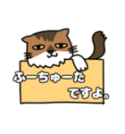方言猫(大牟田市)（個別スタンプ：6）