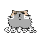方言猫(大牟田市)（個別スタンプ：10）