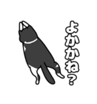 方言猫(大牟田市)（個別スタンプ：11）