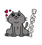 方言猫(大牟田市)（個別スタンプ：12）