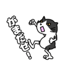 方言猫(大牟田市)（個別スタンプ：14）