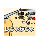 方言猫(大牟田市)（個別スタンプ：15）