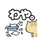 方言猫(大牟田市)（個別スタンプ：17）