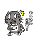 方言猫(大牟田市)（個別スタンプ：23）