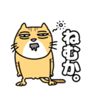方言猫(大牟田市)（個別スタンプ：24）