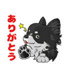 愛犬チワワ擬人化スタンプ（個別スタンプ：2）