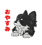 愛犬チワワ擬人化スタンプ（個別スタンプ：4）