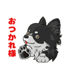 愛犬チワワ擬人化スタンプ（個別スタンプ：5）