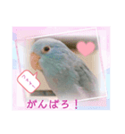 マメルリハのリル8（個別スタンプ：3）