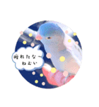 マメルリハのリル8（個別スタンプ：6）