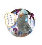 マメルリハのリル8（個別スタンプ：8）