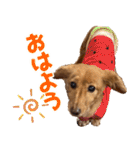 おちゅりちゃんの日常使いスタンプ（個別スタンプ：1）