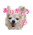 おちゅりちゃんの日常使いスタンプ（個別スタンプ：2）