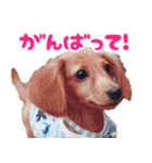 おちゅりちゃんの日常使いスタンプ（個別スタンプ：3）