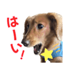 おちゅりちゃんの日常使いスタンプ（個別スタンプ：5）