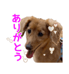 おちゅりちゃんの日常使いスタンプ（個別スタンプ：6）