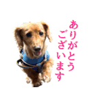 おちゅりちゃんの日常使いスタンプ（個別スタンプ：10）