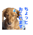 おちゅりちゃんの日常使いスタンプ（個別スタンプ：11）