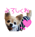 おちゅりちゃんの日常使いスタンプ（個別スタンプ：13）