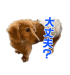 おちゅりちゃんの日常使いスタンプ（個別スタンプ：14）