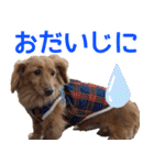 おちゅりちゃんの日常使いスタンプ（個別スタンプ：15）