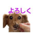 おちゅりちゃんの日常使いスタンプ（個別スタンプ：17）