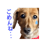 おちゅりちゃんの日常使いスタンプ（個別スタンプ：18）