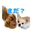 おちゅりちゃんの日常使いスタンプ（個別スタンプ：19）