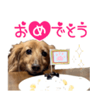 おちゅりちゃんの日常使いスタンプ（個別スタンプ：23）