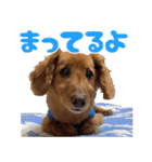 おちゅりちゃんの日常使いスタンプ（個別スタンプ：24）