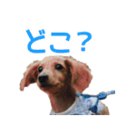 おちゅりちゃんの日常使いスタンプ（個別スタンプ：25）