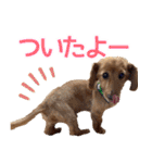 おちゅりちゃんの日常使いスタンプ（個別スタンプ：26）